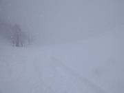 春の大雪