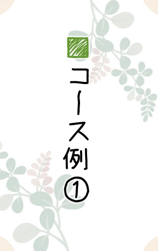 コース例①