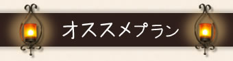オススメプラン