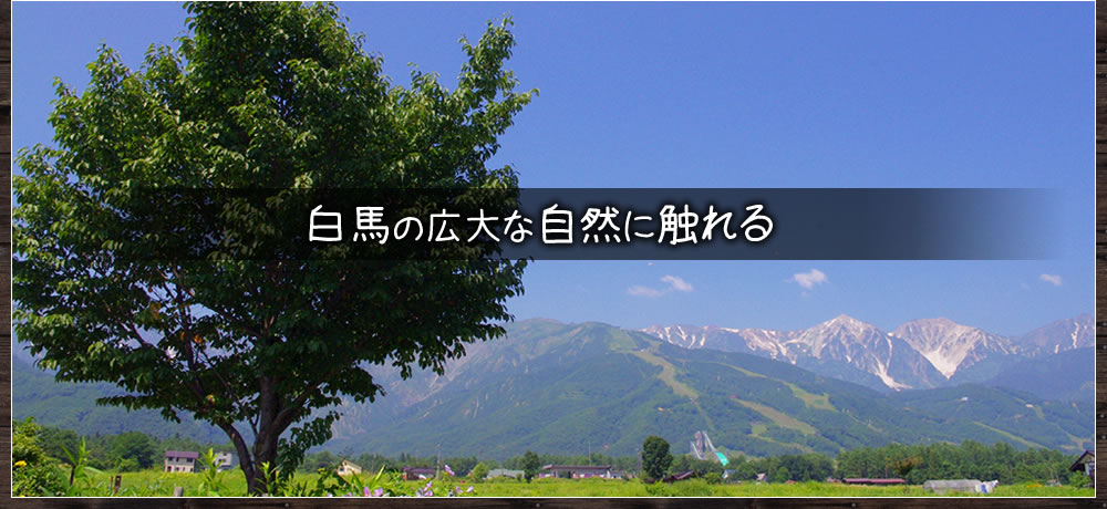 白馬の広大な自然に触れる